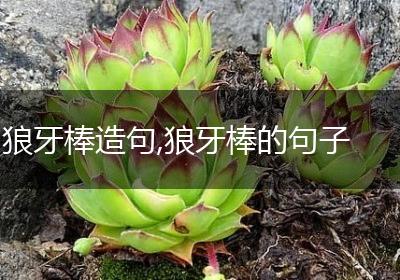 狼牙棒造句,狼牙棒的句子