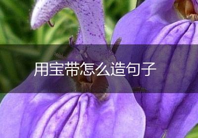 用宝带怎么造句子