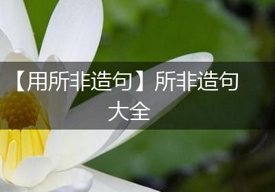 【用所非造句】所非造句大全