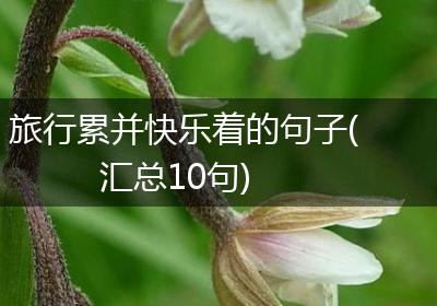 旅行累并快乐着的句子(汇总10句)