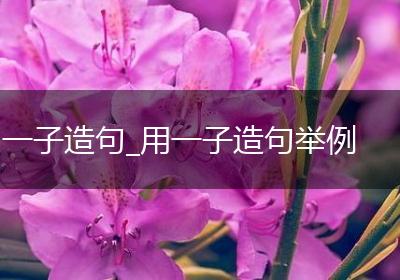 一子造句_用一子造句举例