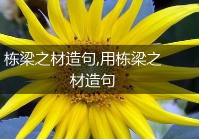 栋梁之材造句,用栋梁之材造句