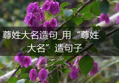 尊姓大名造句_用“尊姓大名”造句子