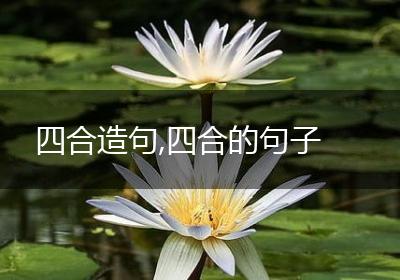 四合造句,四合的句子
