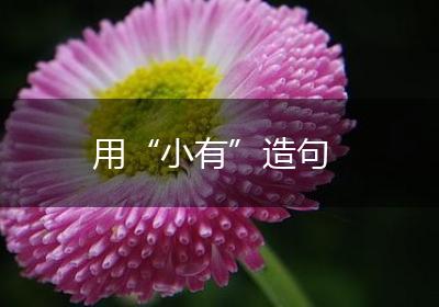 用“小有”造句