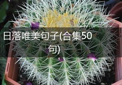日落唯美句子(合集50句)