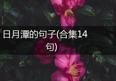 日月潭的句子(合集14句)