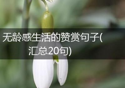 无龄感生活的赞赏句子(汇总20句)