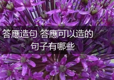 答應造句 答應可以造的句子有哪些
