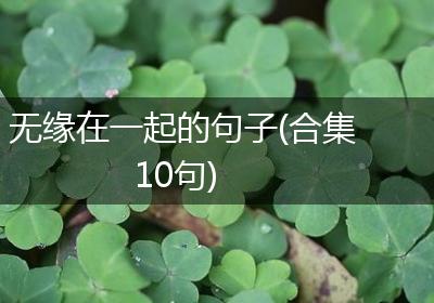 无缘在一起的句子(合集10句)