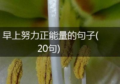 早上努力正能量的句子(20句)