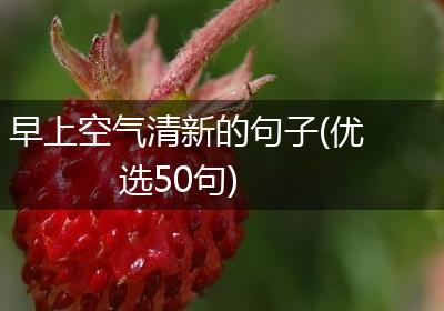 早上空气清新的句子(优选50句)