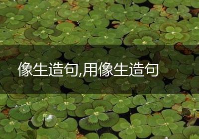 像生造句,用像生造句