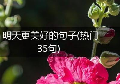 明天更美好的句子(热门35句)