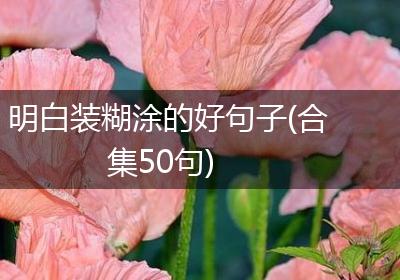 明白装糊涂的好句子(合集50句)