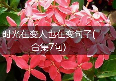 时光在变人也在变句子(合集7句)