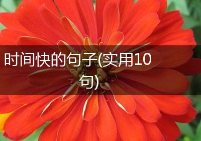 时间快的句子(实用10句)