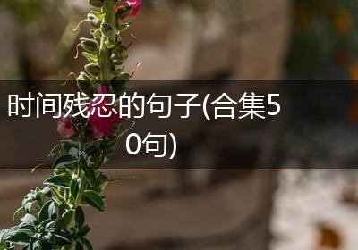 时间残忍的句子(合集50句)