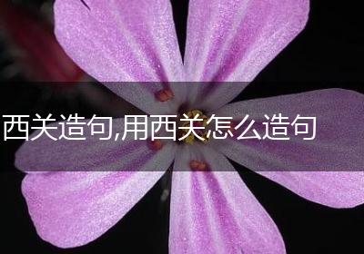 西关造句,用西关怎么造句