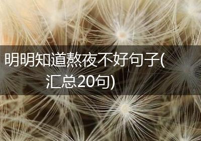 明明知道熬夜不好句子(汇总20句)