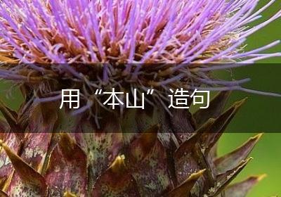 用“本山”造句