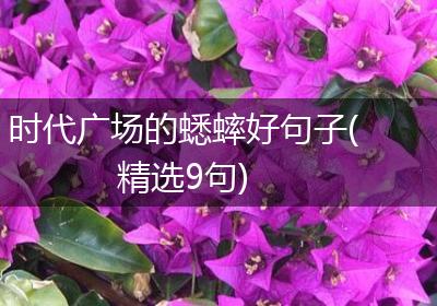 时代广场的蟋蟀好句子(精选9句)