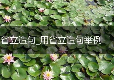省立造句_用省立造句举例
