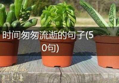 时间匆匆流逝的句子(50句)