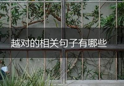越对的相关句子有哪些