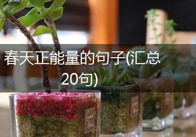 春天正能量的句子(汇总20句)