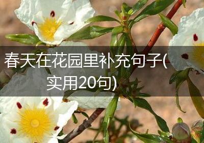 春天在花园里补充句子(实用20句)
