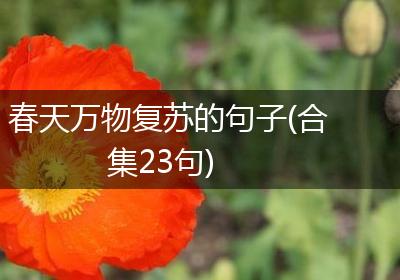 春天万物复苏的句子(合集23句)