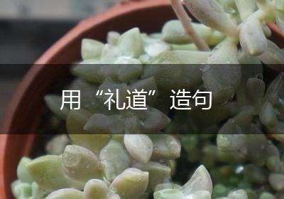 用“礼道”造句