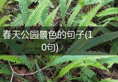 春天公园景色的句子(10句)