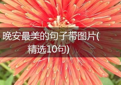 晚安最美的句子带图片(精选10句)