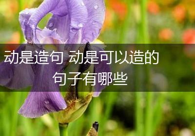 动是造句 动是可以造的句子有哪些