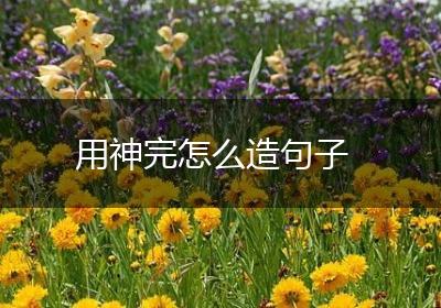 用神完怎么造句子