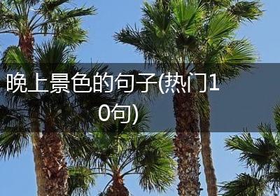 晚上景色的句子(热门10句)