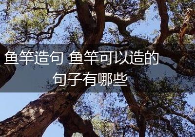 鱼竿造句 鱼竿可以造的句子有哪些