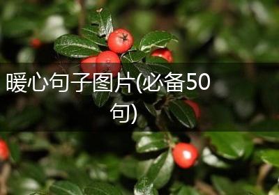 暖心句子图片(必备50句)