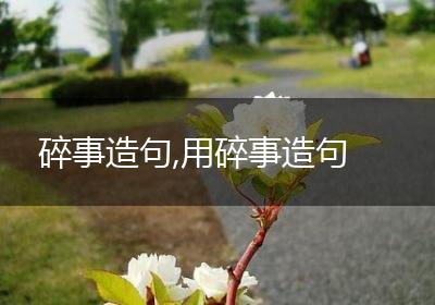 碎事造句,用碎事造句