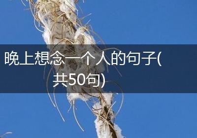 晚上想念一个人的句子(共50句)