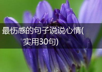 最伤感的句子说说心情(实用30句)
