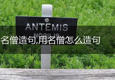 名僧造句,用名僧怎么造句