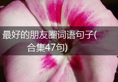 最好的朋友圈词语句子(合集47句)