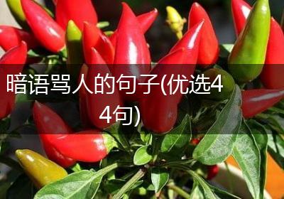 暗语骂人的句子(优选44句)