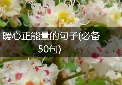 暖心正能量的句子(必备50句)