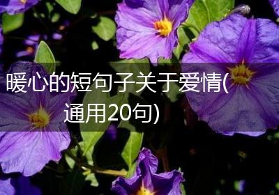 暖心的短句子关于爱情(通用20句)