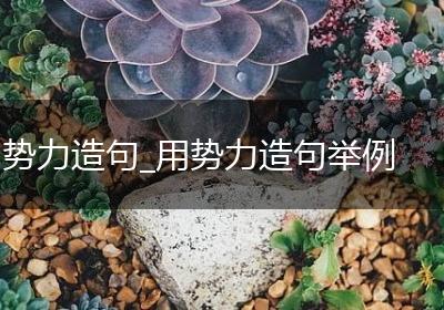 势力造句_用势力造句举例