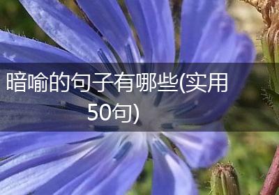 暗喻的句子有哪些(实用50句)